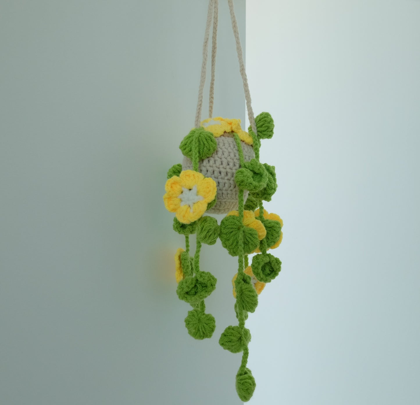 Cozy Crochet Hanging Flower & Vine Baskets | Everlasting Cascading Blooms ๐ฟ๐ธ