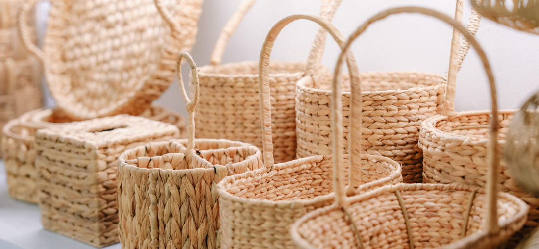 9 Interesting Facts About Bamboo