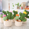 Handmade Crochet Blooming Cactus Garden 🌵✨