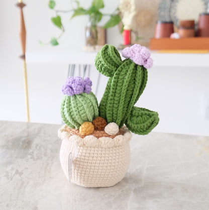 Handmade Crochet Blooming Cactus Garden 🌵✨