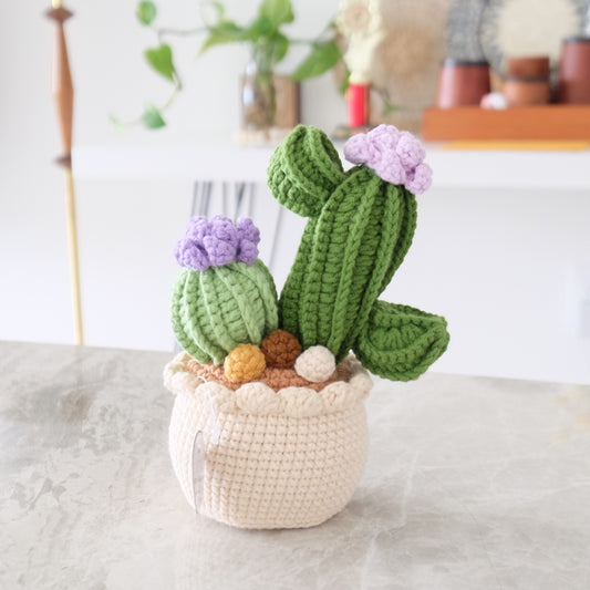 Handmade Crochet Blooming Cactus Garden 🌵✨