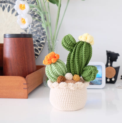 Handmade Crochet Blooming Cactus Garden 🌵✨