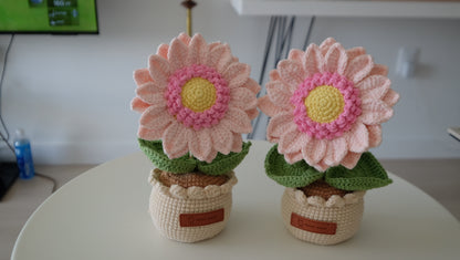 Handmade Crochet Pastel Pink Sunflower Bouquet with Scalloped Pot 🌸🌻✨