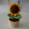Handmade Crochet Sunflower Pot