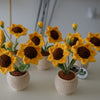 Handmade Crochet Sunflower Pot- 2flowers