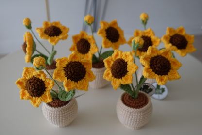 Handmade Crochet Sunflower Pot- 2flowers