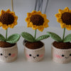 Handmade Crochet Sunflower Pot, Forever Sunflower, Amigurumi Flower